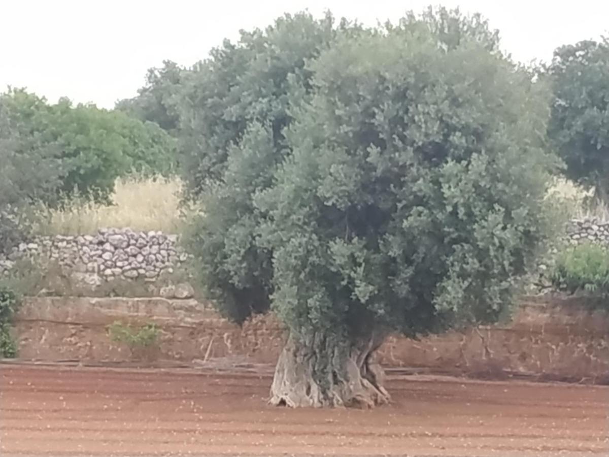 Masseria Auina Fasano Exterior foto