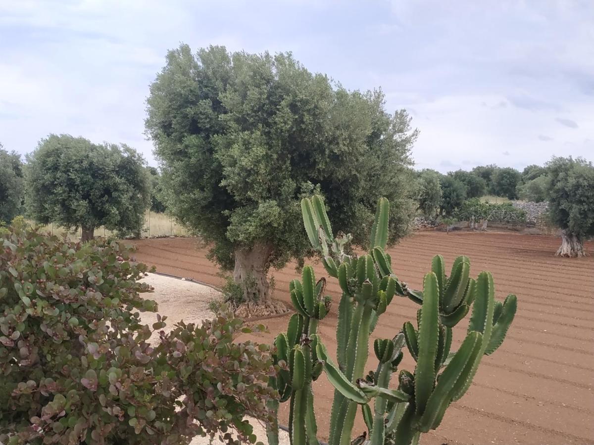 Masseria Auina Fasano Exterior foto